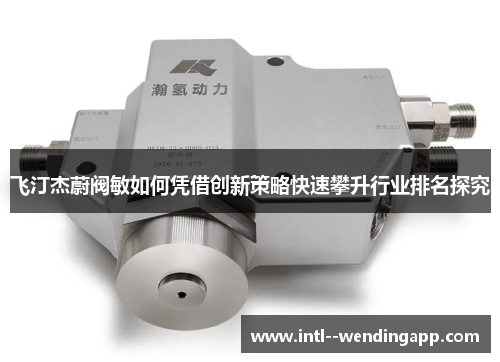 飞汀杰蔚阀敏如何凭借创新策略快速攀升行业排名探究 飞汀杰蔚阀敏如何凭借创新策略快速攀升行业排名探究