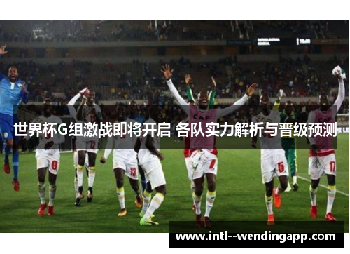 世界杯G组激战即将开启 各队实力解析与晋级预测